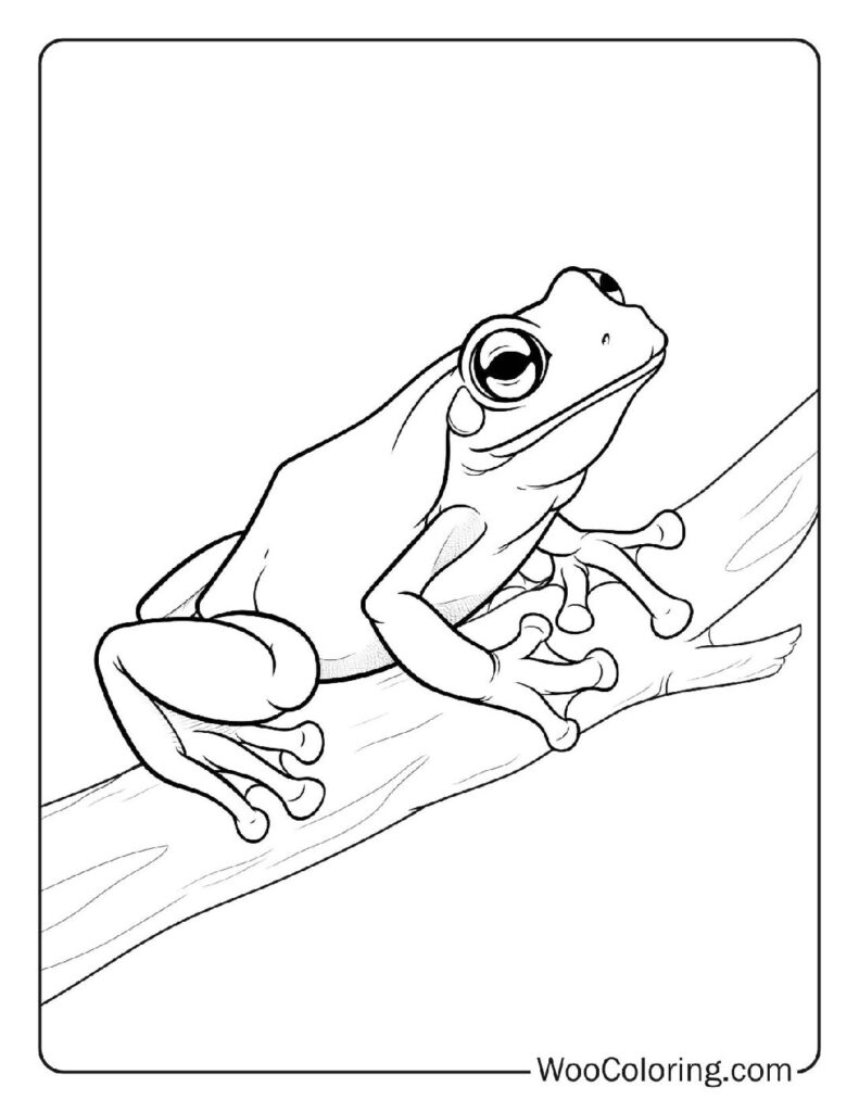 100  Jungle coloring pages  Free PDF To Print  - 19