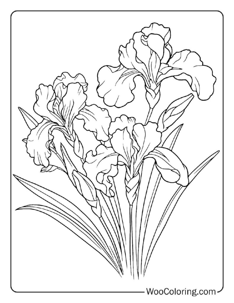 100 Flower coloring pages Free PDF To Print - 29