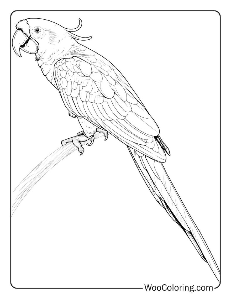 100  Jungle coloring pages  Free PDF To Print  - 69