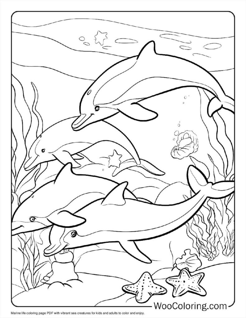 100  Dolphin coloring pages  Free PDF To Print  - 27