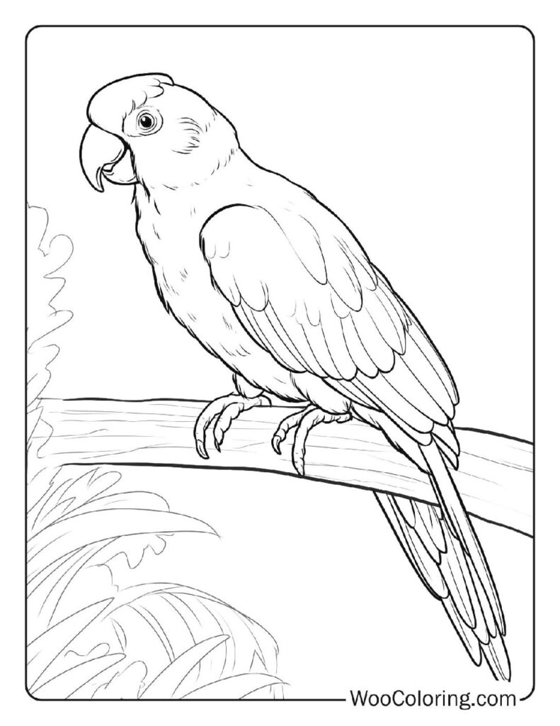 100 jungle coloring pages free pdf to print woo coloring