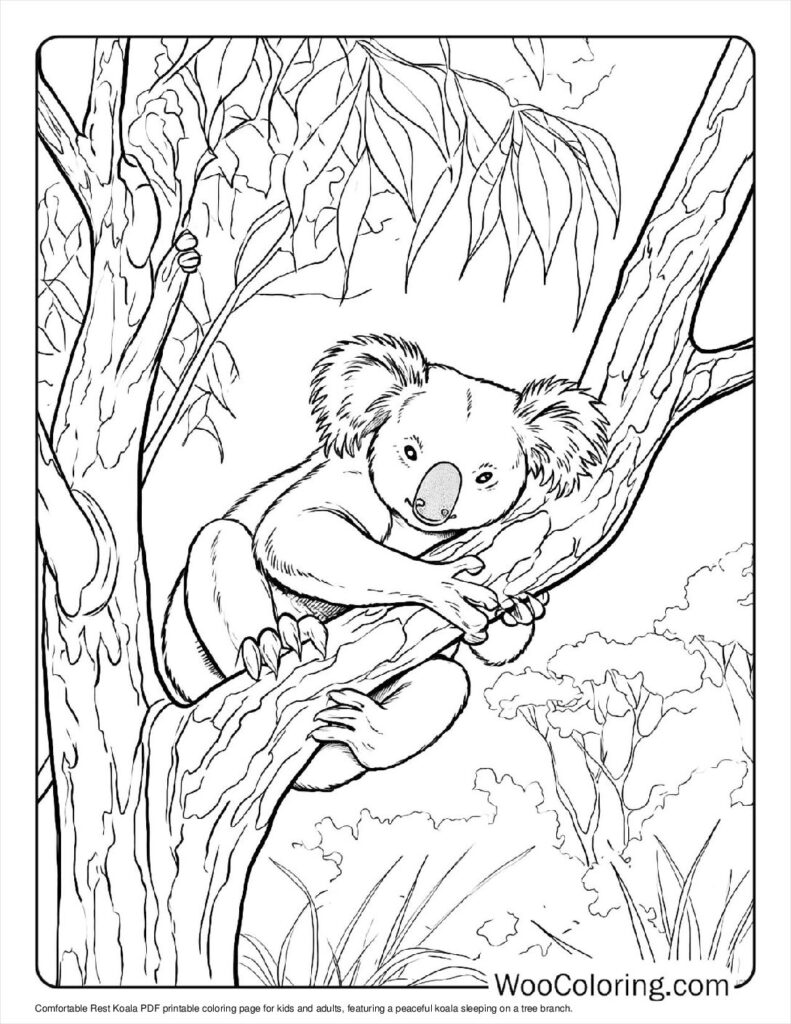 100  Koala coloring pages  Free PDF To Print  - 11