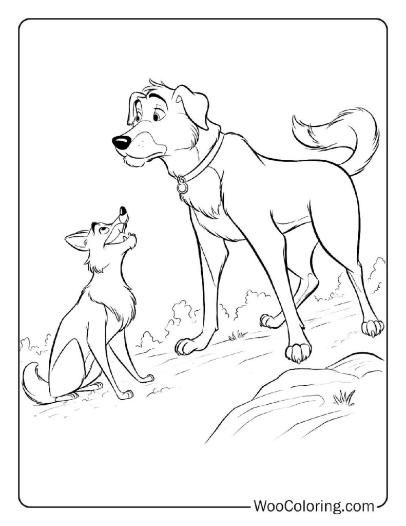 Copper Defends Tod