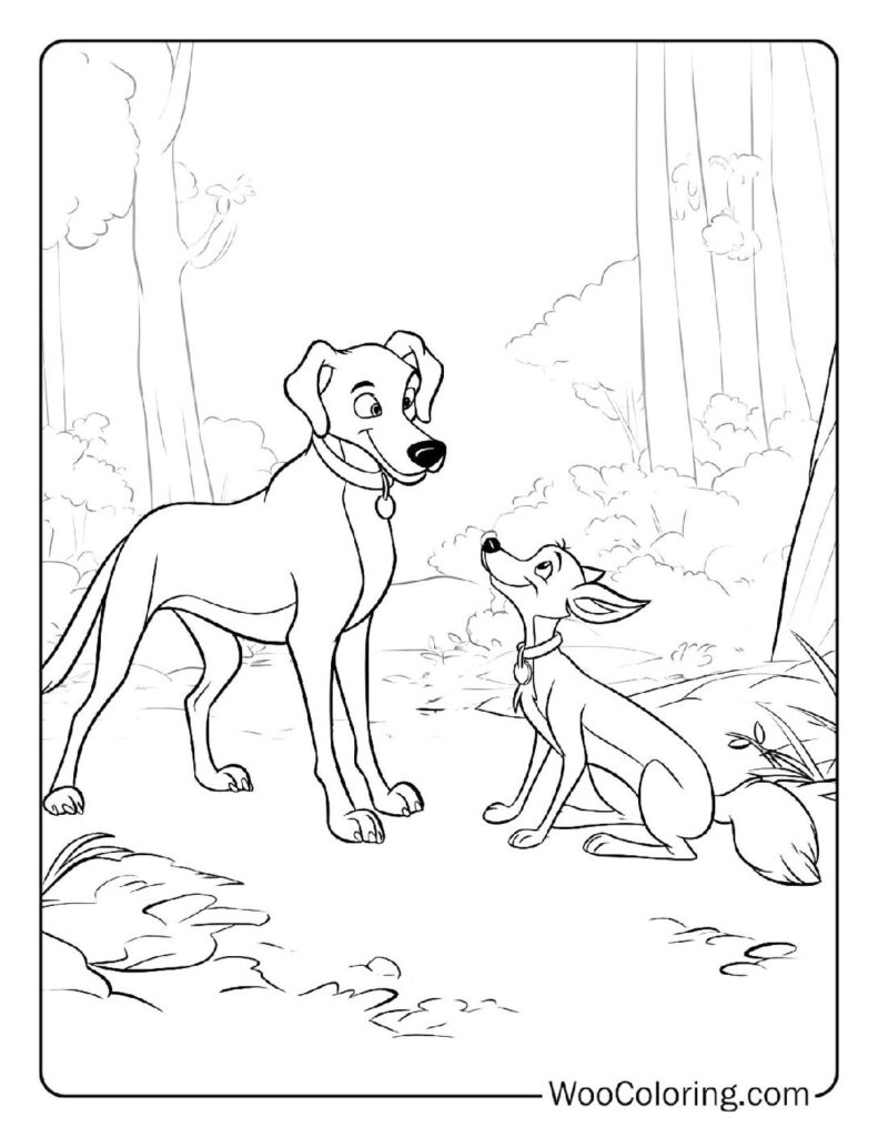 Copper and Tod's Bond
