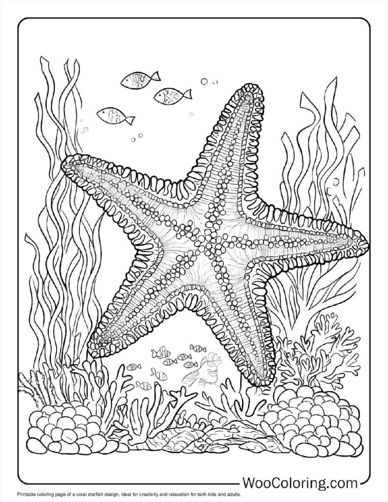 100  Starfish coloring pages  Free PDF To Print  - 4