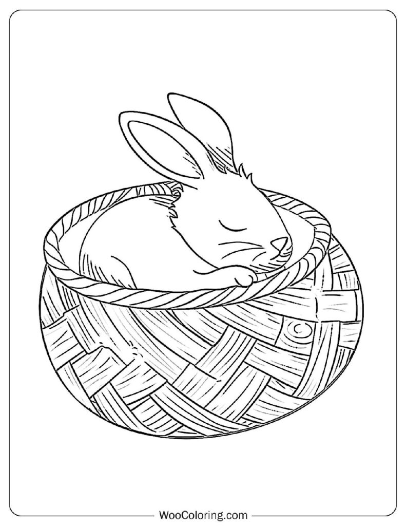 Cozy Baby Rabbit