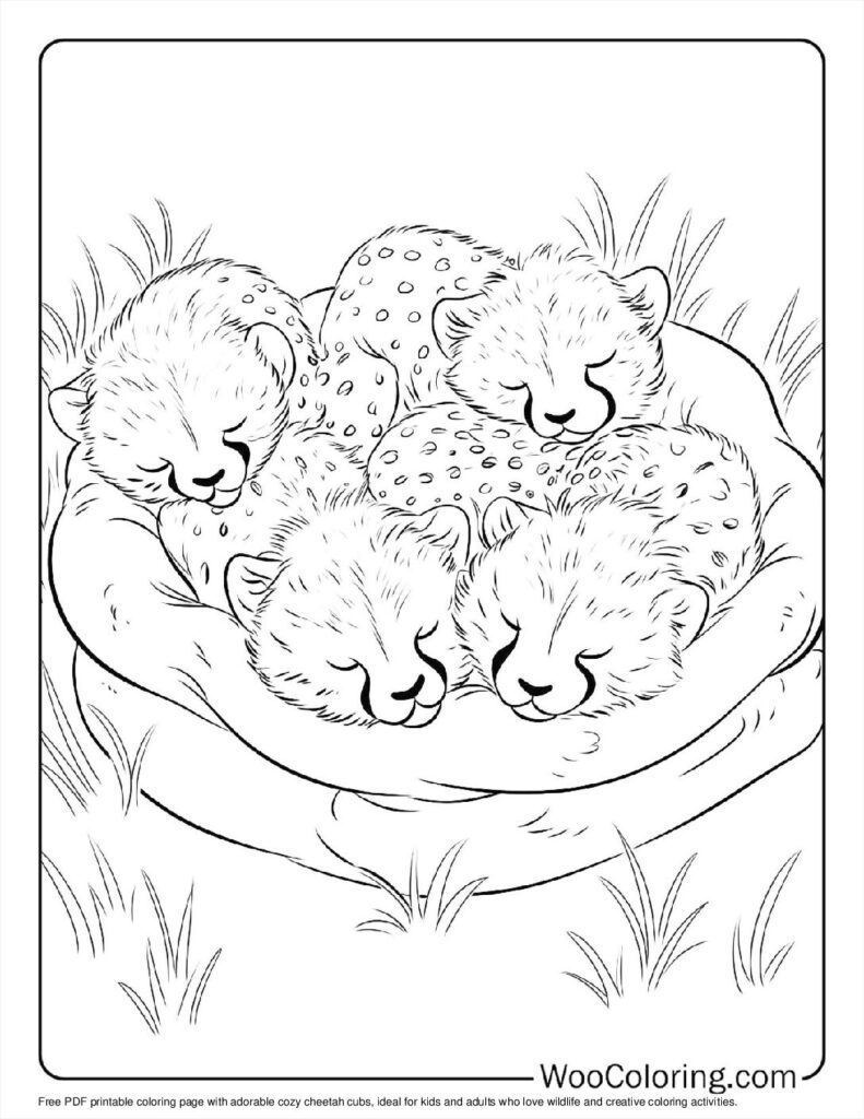100  Cheetah coloring pages  Free PDF To Print  - 63