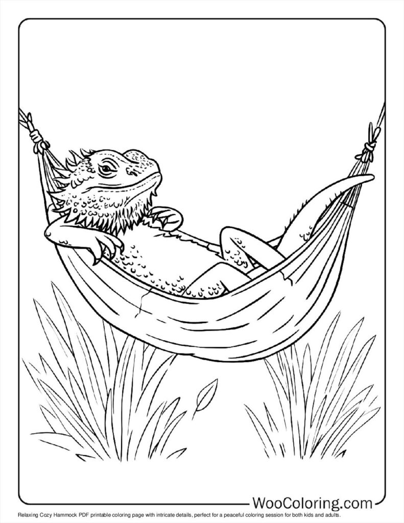Cozy Hammock