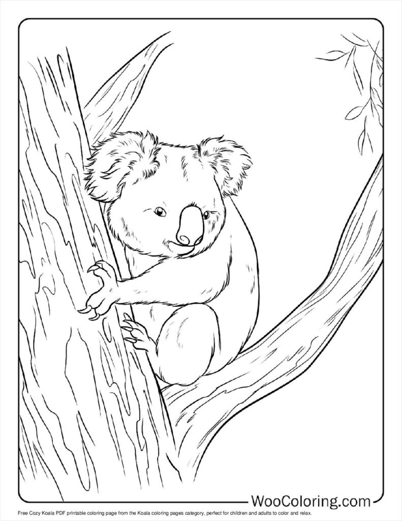 100  Koala coloring pages  Free PDF To Print  - 51