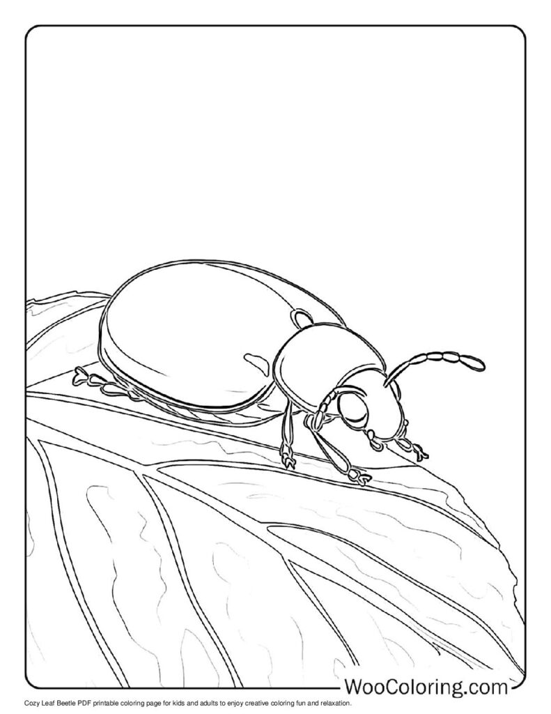Cozy Leaf Beetle
