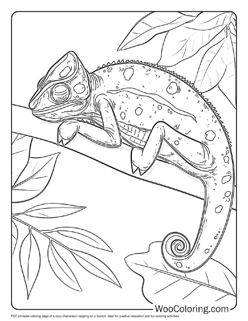100  Chameleon coloring pages  Free PDF To Print  - 18