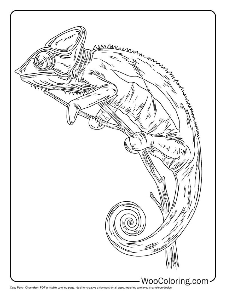 100  Chameleon coloring pages  Free PDF To Print  - 1