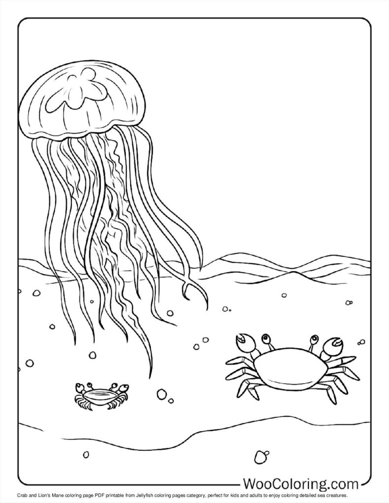 100  Jellyfish coloring pages  Free PDF To Print  - 20
