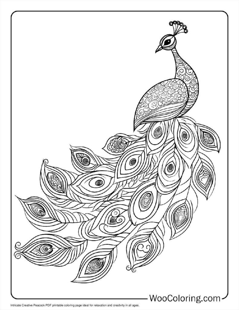 100  Peacock coloring pages  Free PDF To Print  - 5