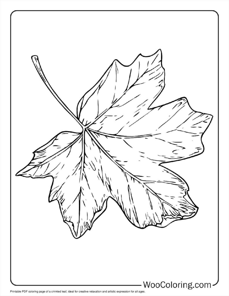 100  Leaf coloring pages  Free PDF To Print  - 9
