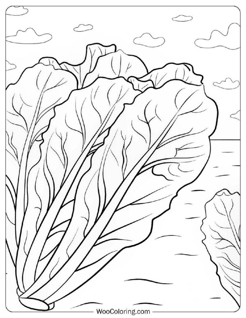 28 Vegetable Coloring Pages  Free PDF To Print  - 32