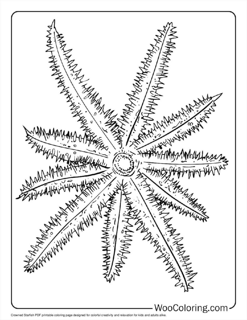 100  Starfish coloring pages  Free PDF To Print  - 63