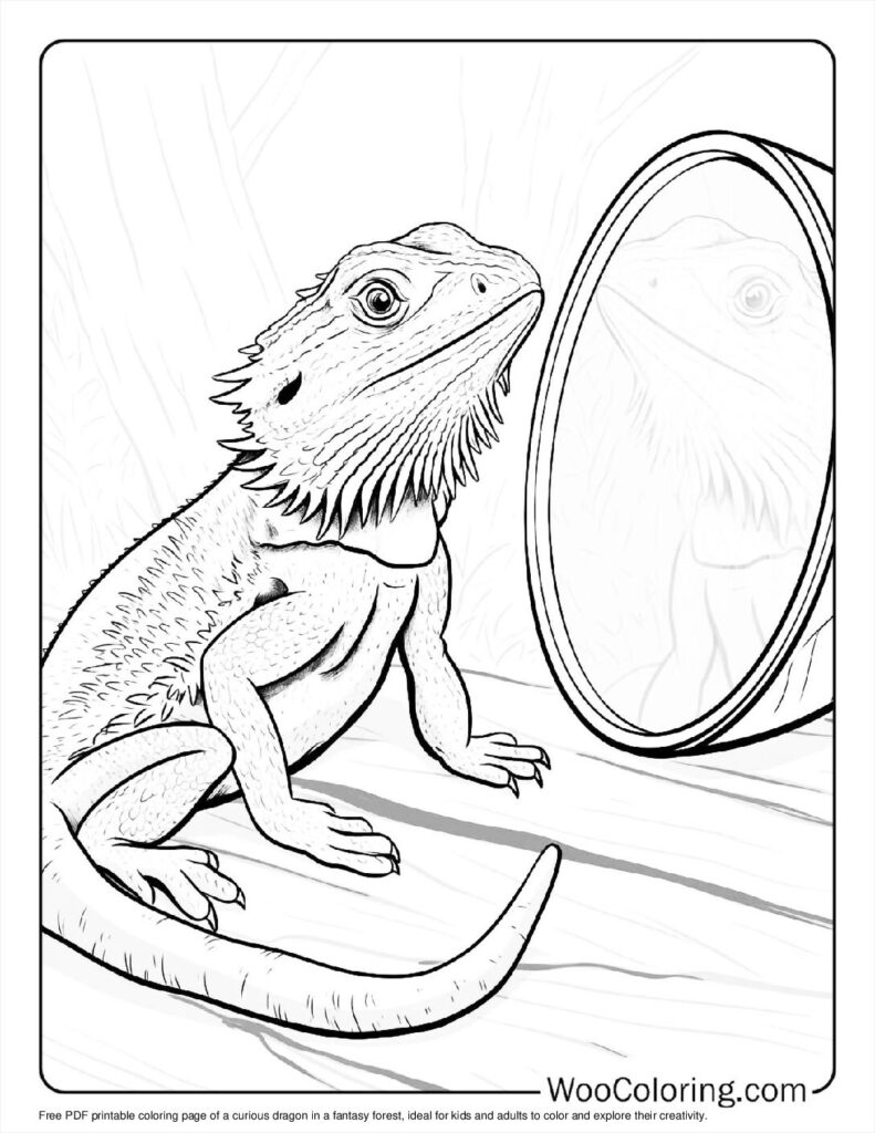 Curious Dragon