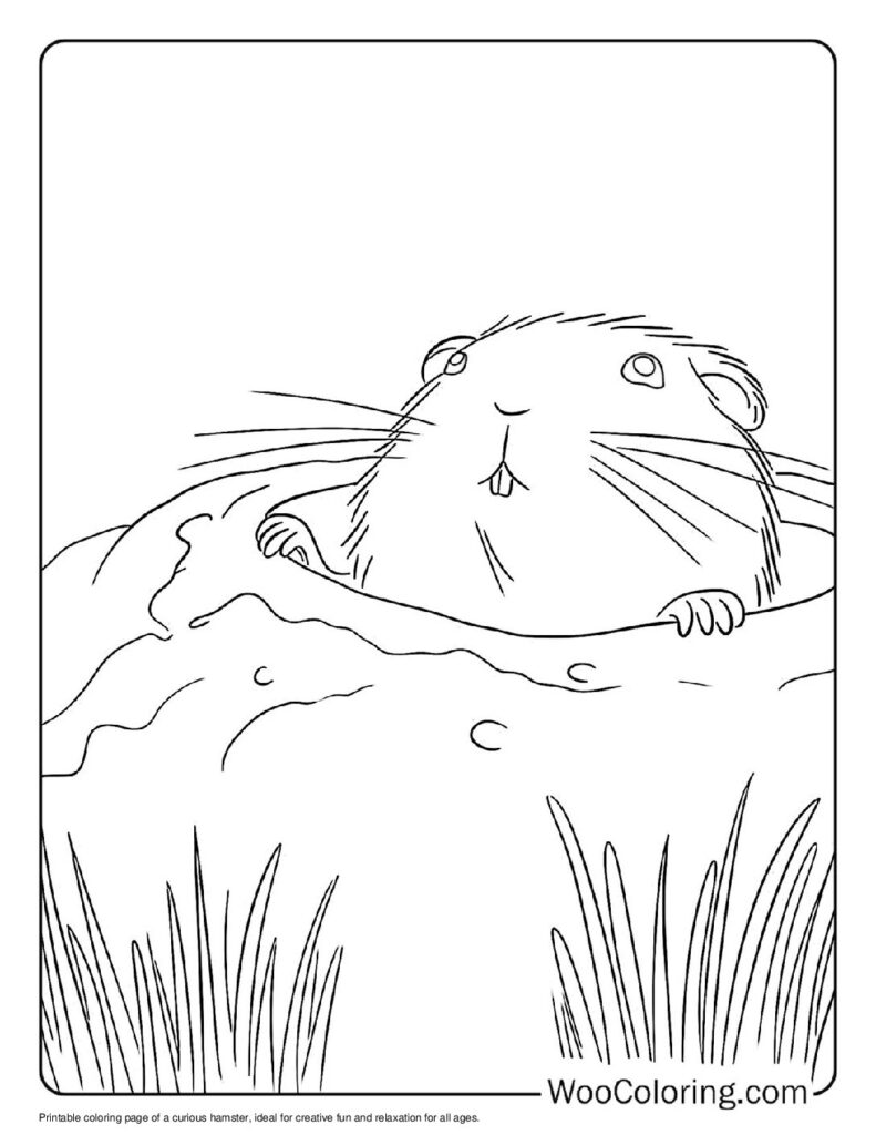 100  Hamster coloring pages  Free PDF To Print  - 6