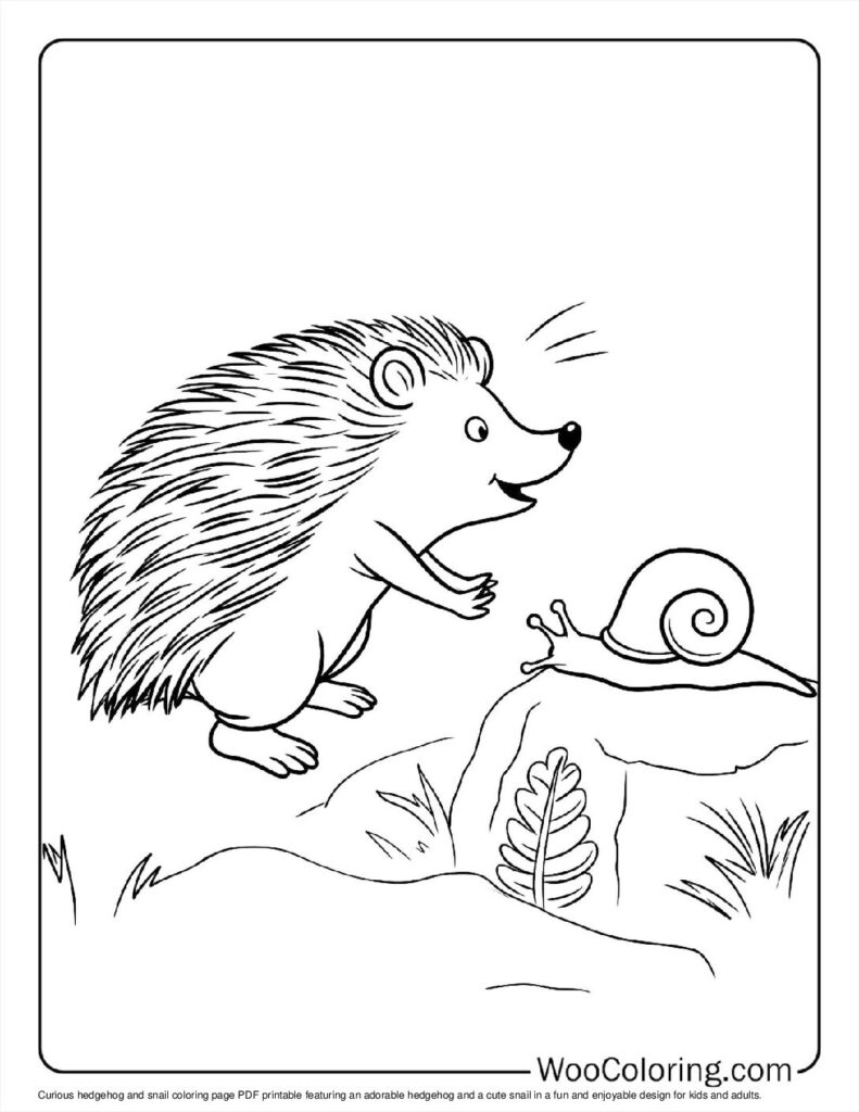 100  Hedgehog coloring pages  Free PDF To Print  - 77