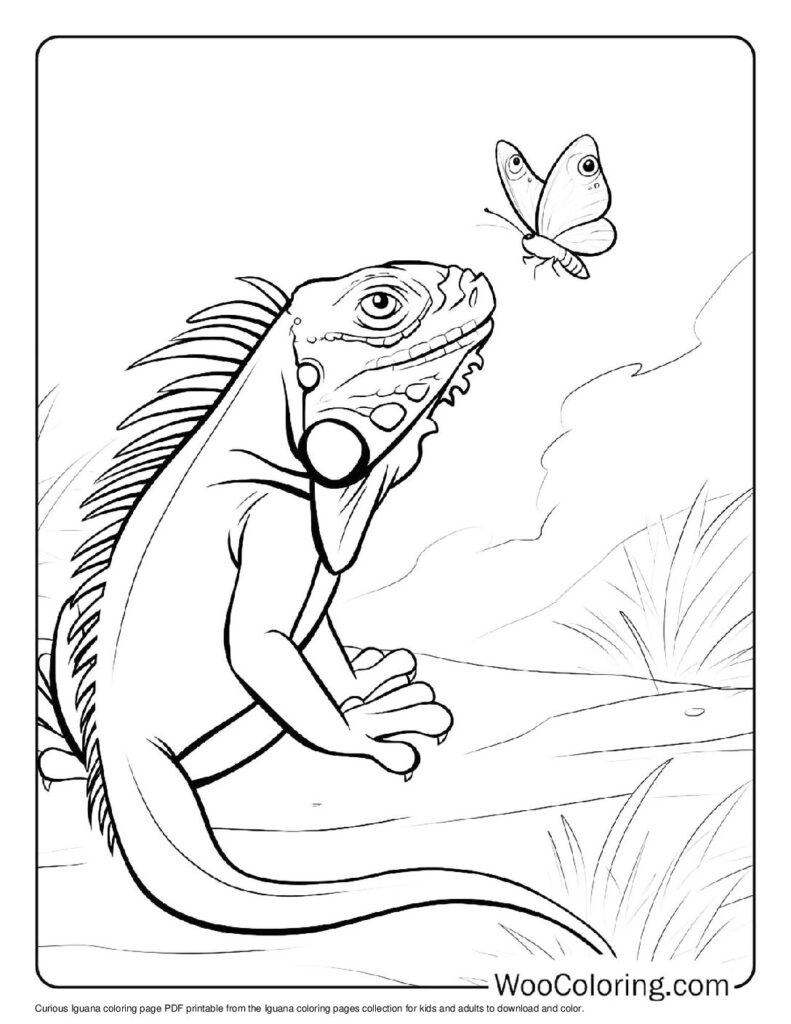 100 Iguana coloring pages Free PDF To Print - 31