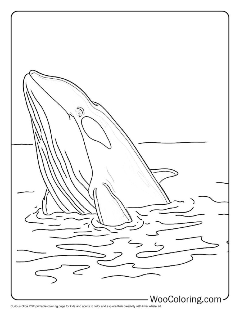 100  Killer Whale coloring pages  Free PDF To Print  - 90