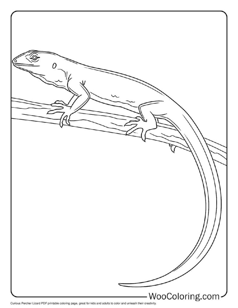100  Lizard coloring pages  Free PDF To Print  - 44