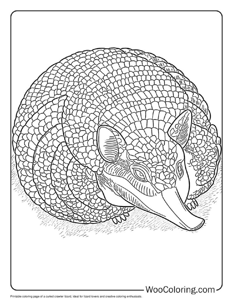 100  Lizard coloring pages  Free PDF To Print  - 21