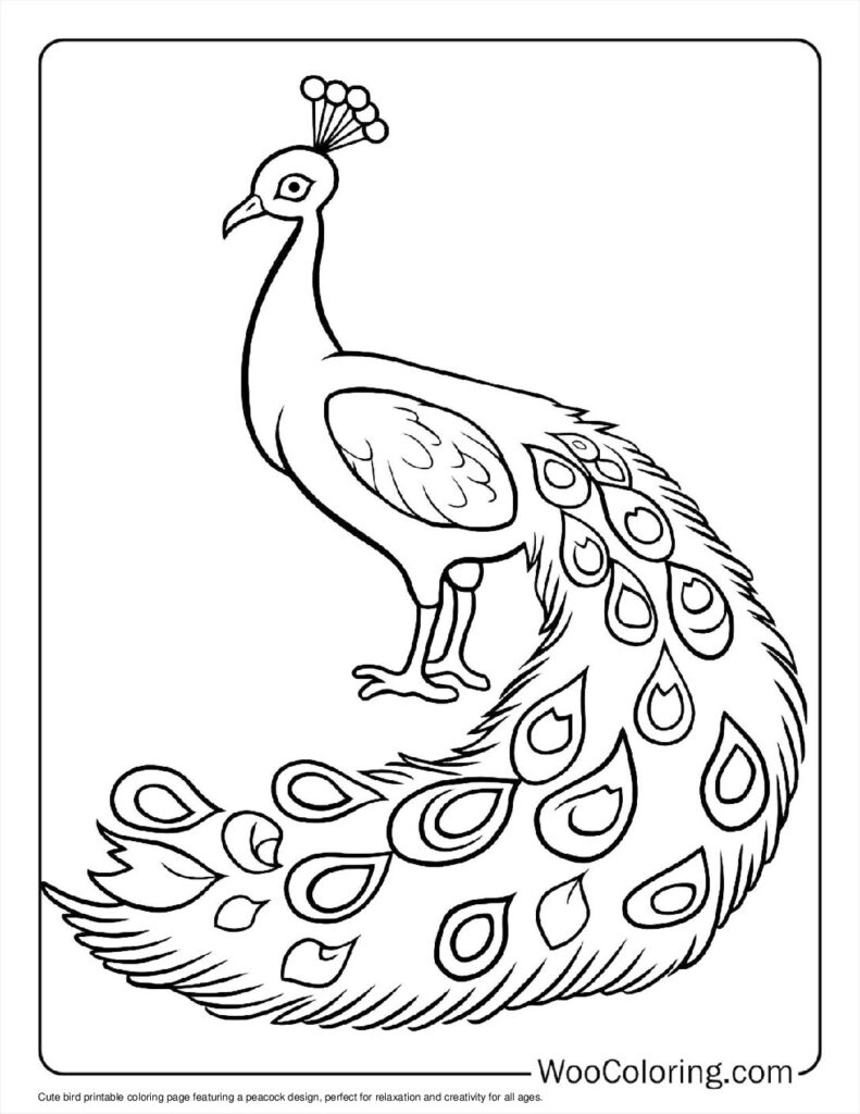 100  Peacock coloring pages  Free PDF To Print  - 12