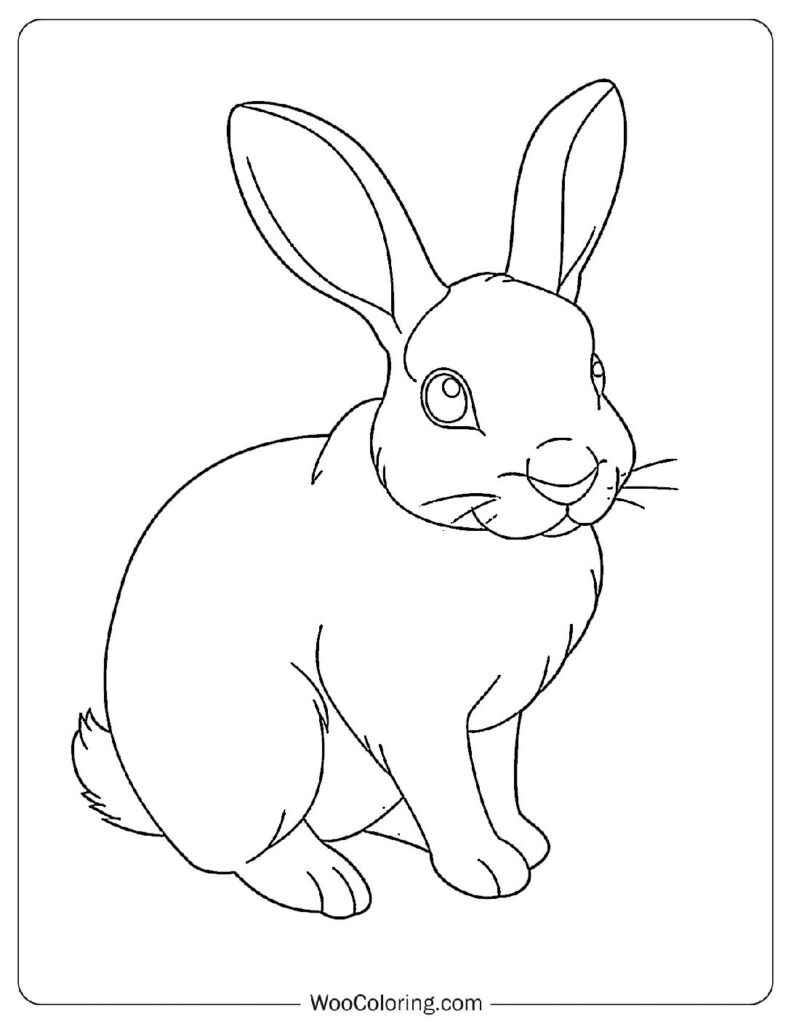 Cute Rabbit Pose