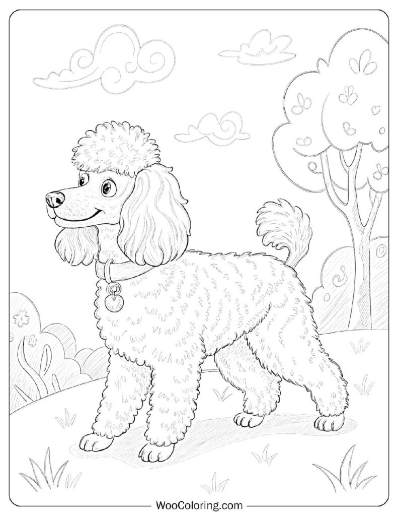 Fluffy Poodle Sitting Calmly in a Forest Clearing on a Sunny Day
