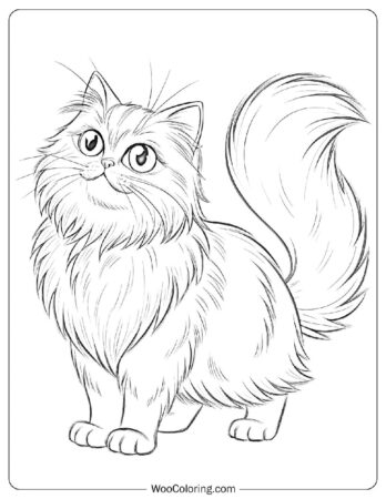Cute Persian with Big Eyes Sketch Coloring Page
