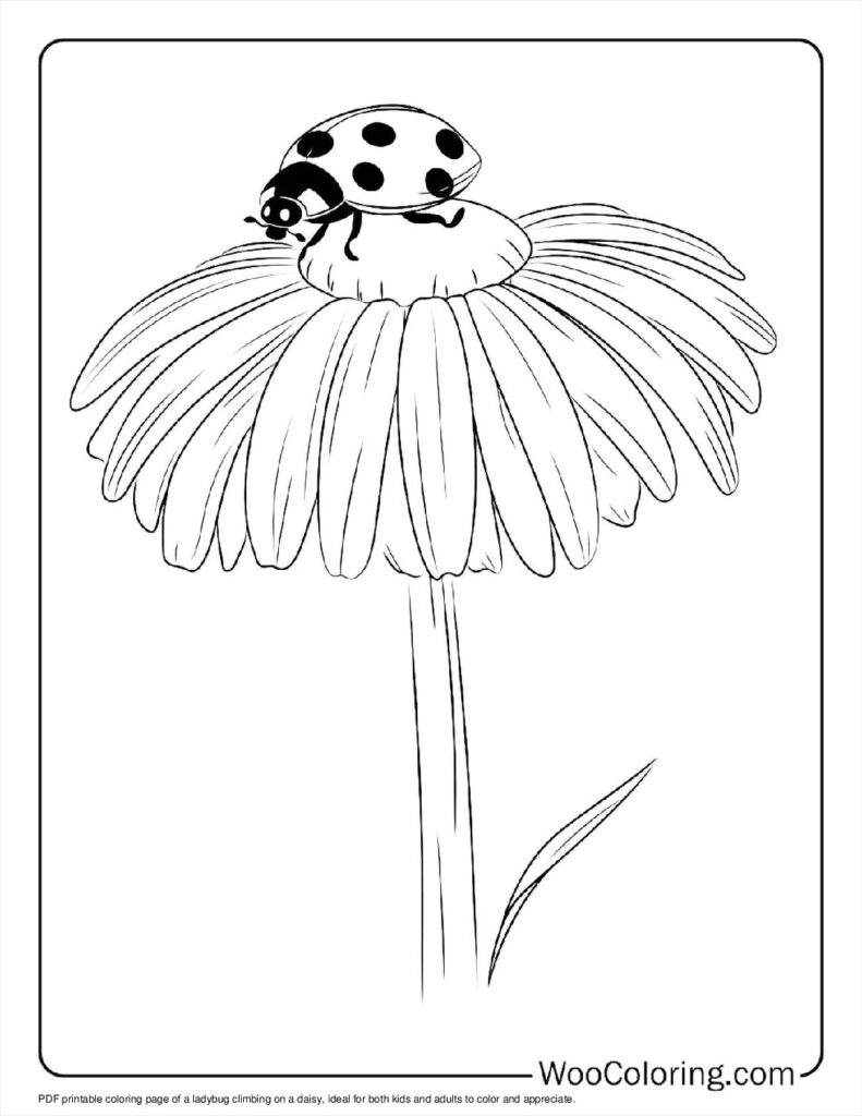 100  Ladybug coloring pages  Free PDF To Print  - 82