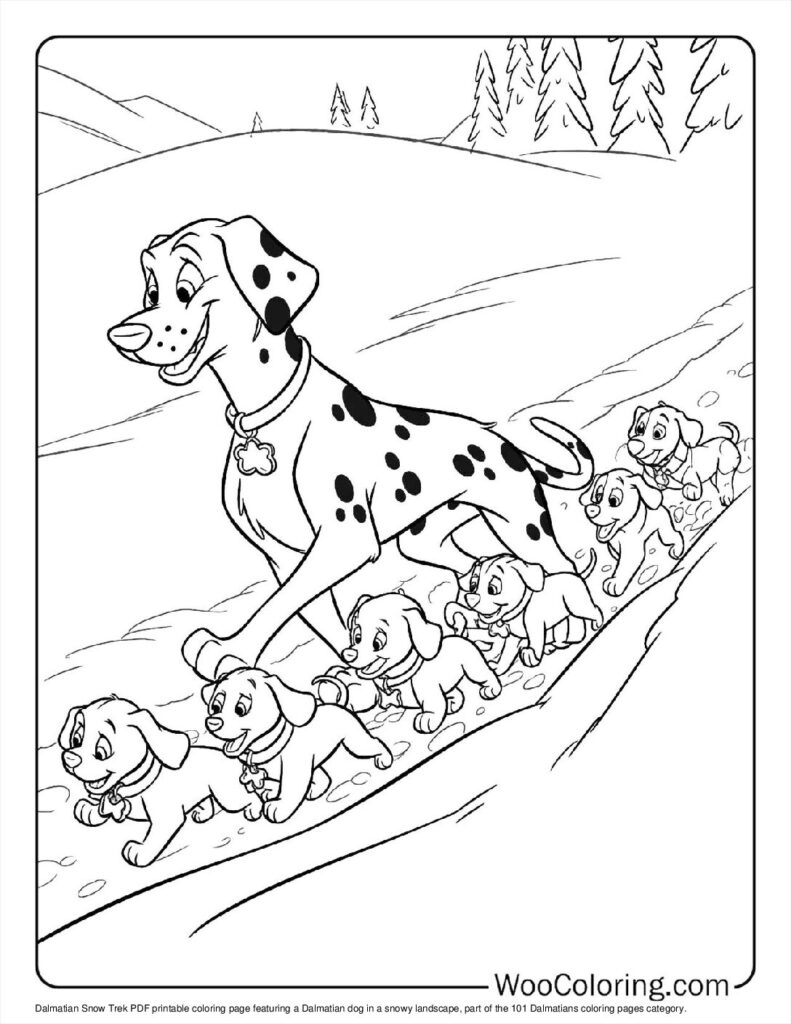 Dalmatian Snow Trek