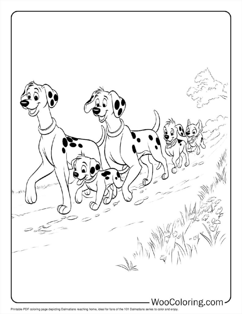 Dalmatians Reach Home