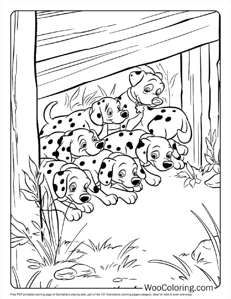 Dalmatians Stay Safe