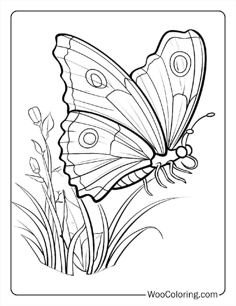 100  Butterfly coloring pages  Free PDF To Print  - 36