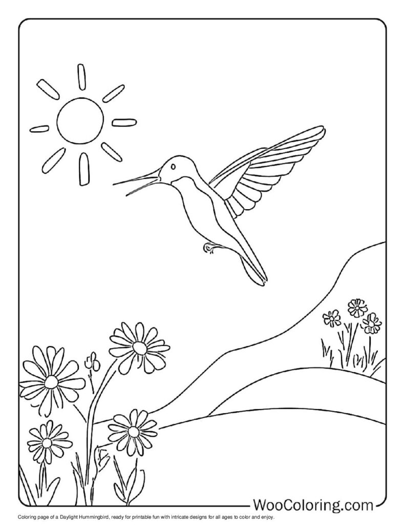 100 Hummingbird coloring pages Free PDF To Print - 91