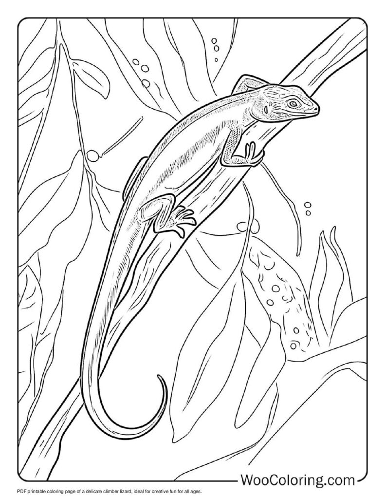 100  Lizard coloring pages  Free PDF To Print  - 71
