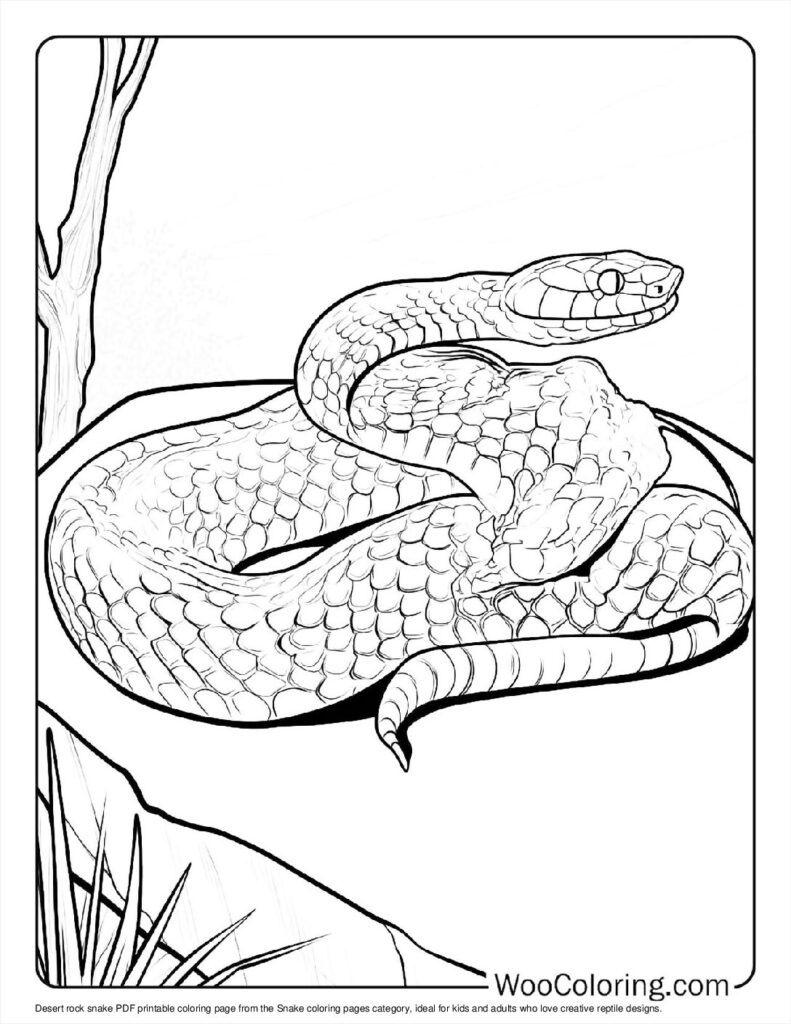 100+ Snake coloring pages (Free PDF To Print) | Woo Coloring