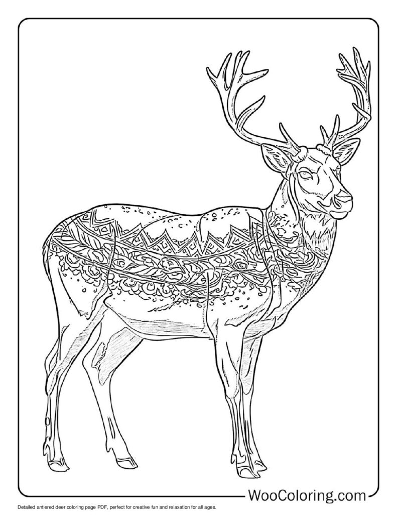 100  Deer coloring pages  Free PDF To Print  - 78