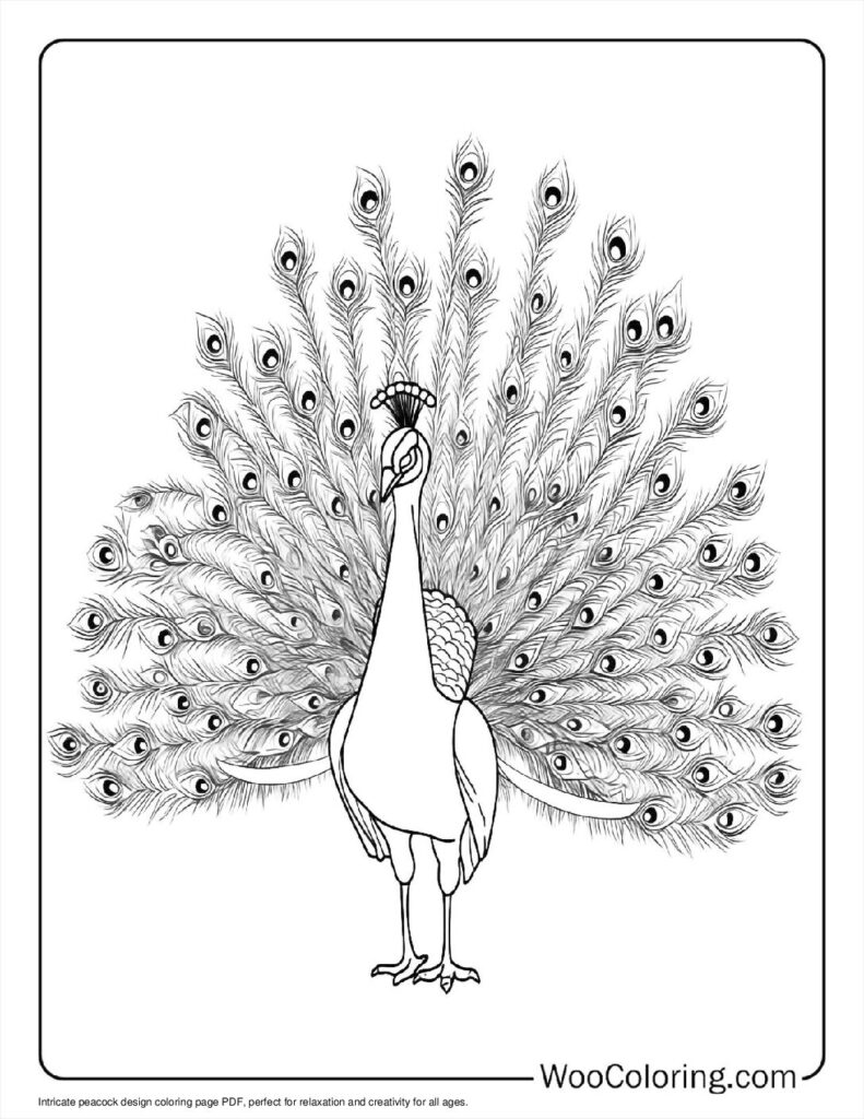100  Peacock coloring pages  Free PDF To Print  - 34