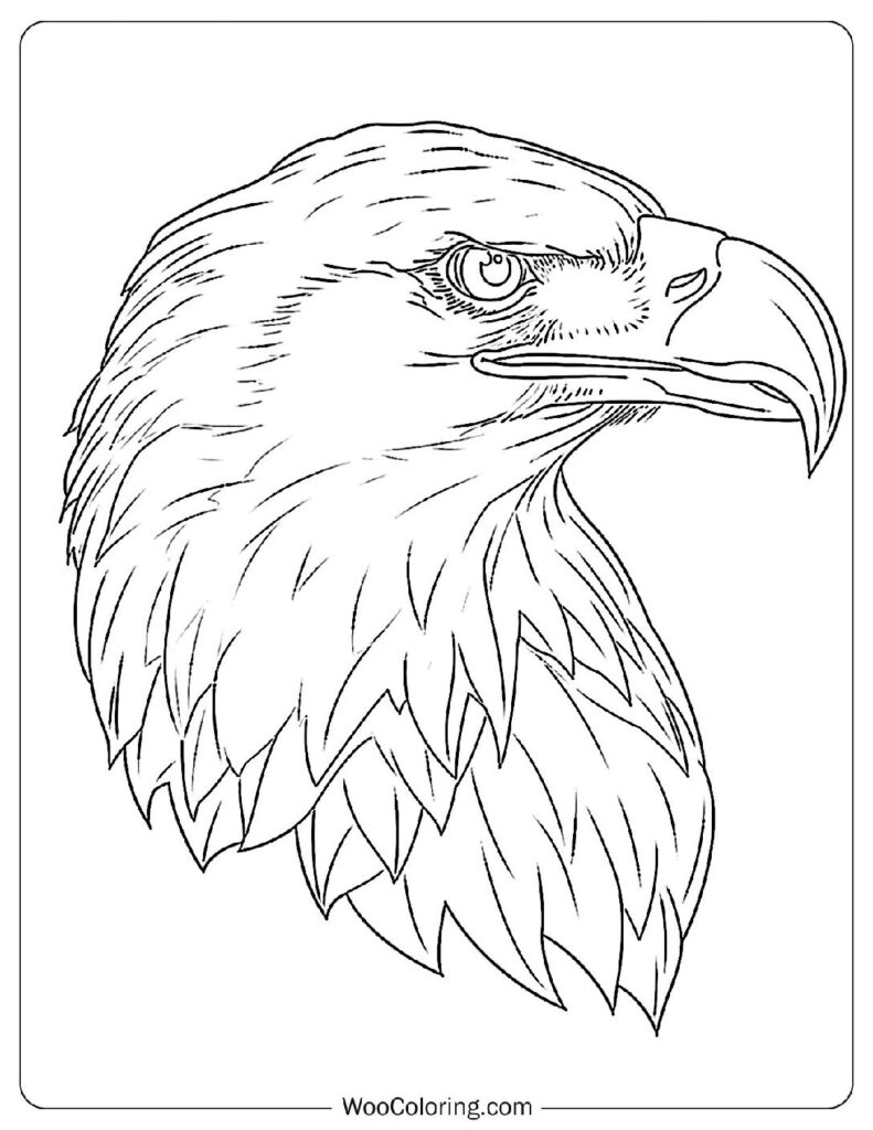 100  Bald Eagle coloring pages  Free PDF To Print  - 33