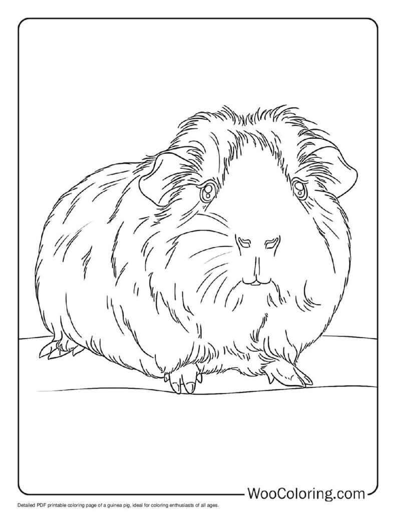 100 Guinea Pig coloring pages Free PDF To Print - 89