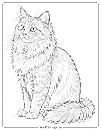 Detailed Outline of a Siberian Cat Coloring Page