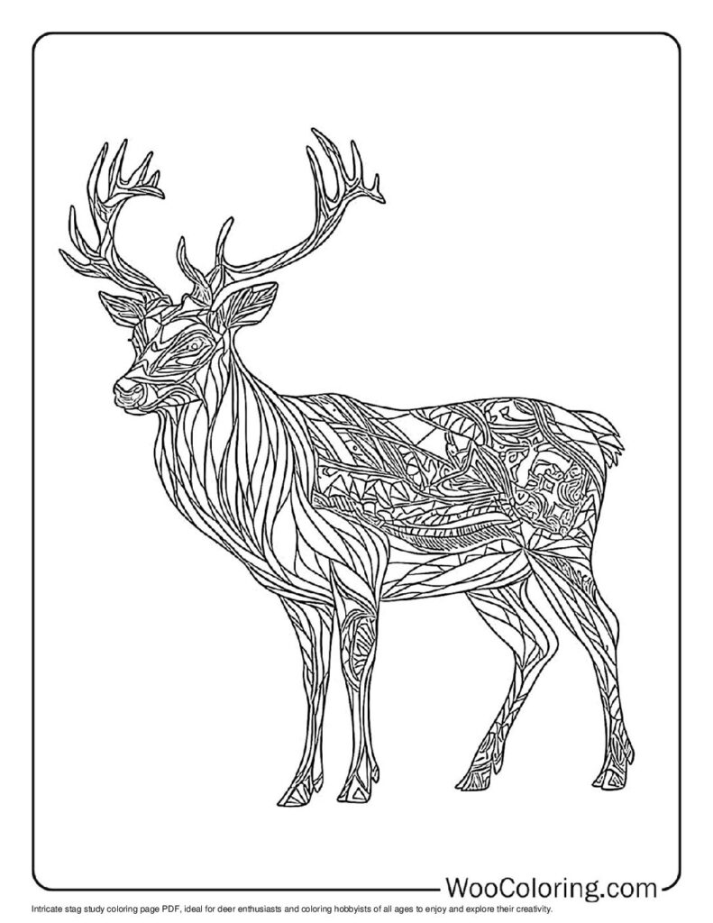 100  Deer coloring pages  Free PDF To Print  - 92