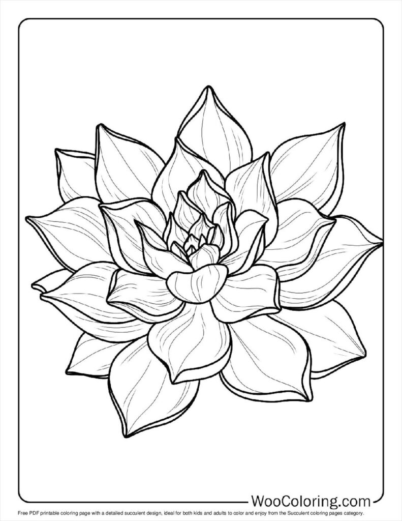 100  Succulent coloring pages  Free PDF To Print  - 25