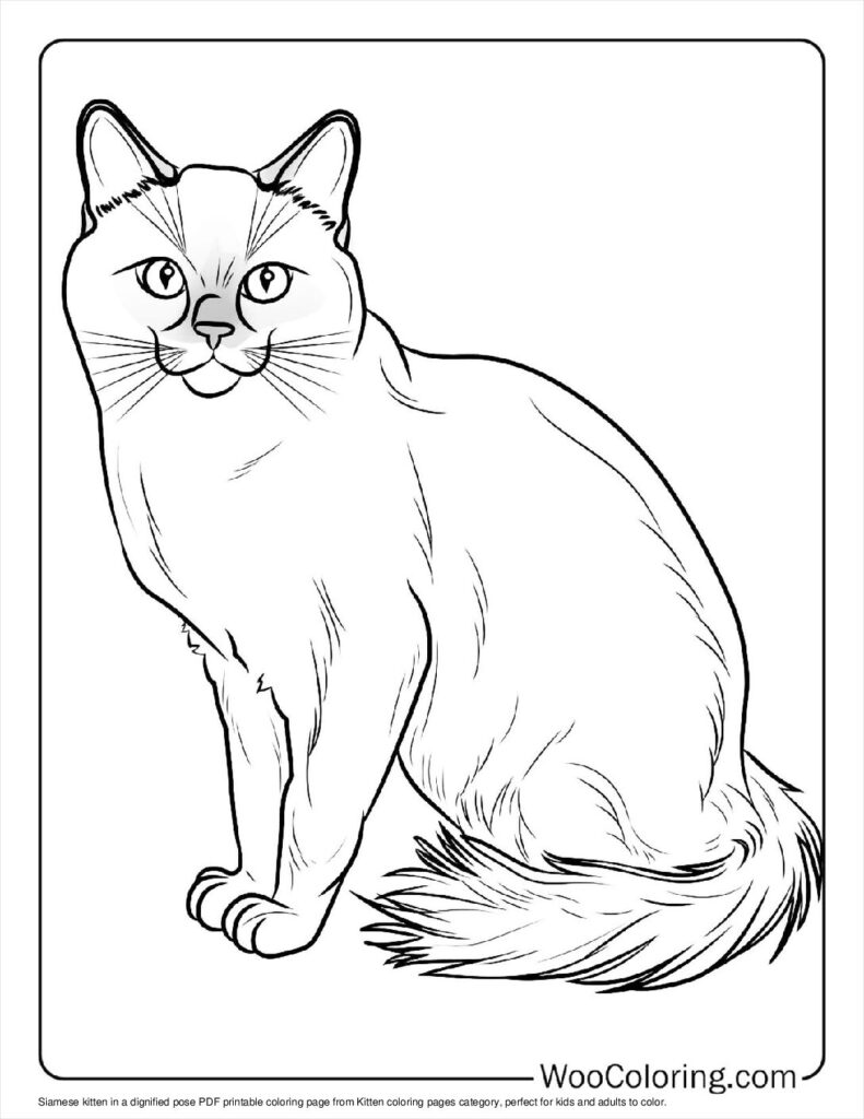 100  Kitten coloring pages  Free PDF To Print  - 94