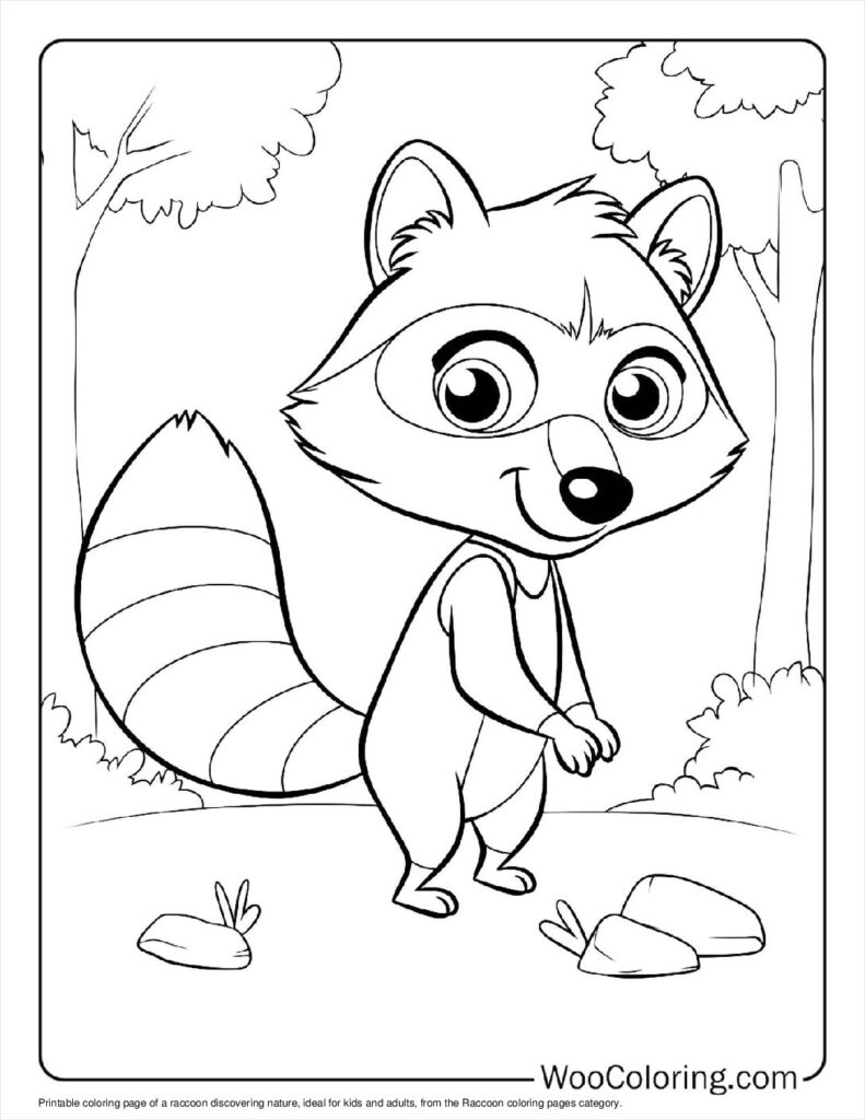 100  Raccoon coloring pages  Free PDF To Print  - 59