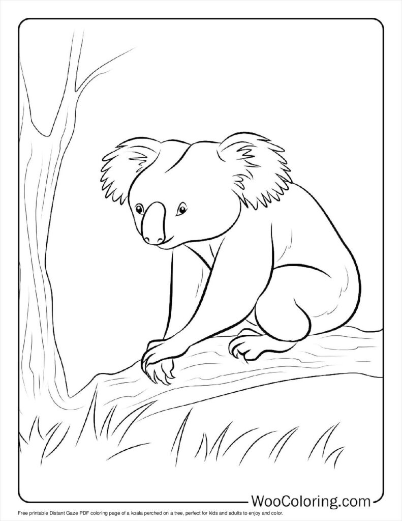 100  Koala coloring pages  Free PDF To Print  - 4